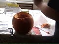 flabo19 thanksgiving special - pumpkin season flabo19 thanksgiving special - pumpkin season