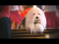 Fred and Samson Le Monde Est Si Beau Official Music Video and Lyrics