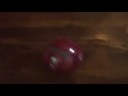 Camster The Hamster II-on a roll