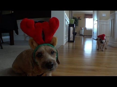 Pirillo Vlog 590 - Baby, It's Embarassing Outside