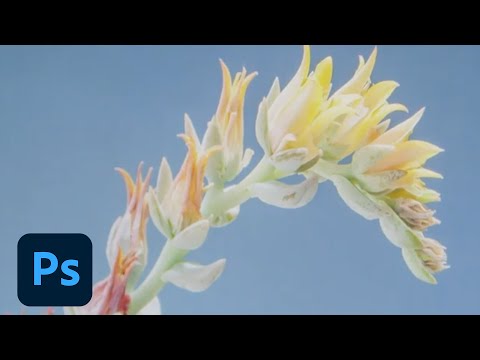 YouTube Preview Image