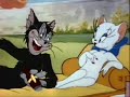 Tom and Jerry Accidentaly in love Music Video