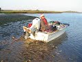 Beached boat
