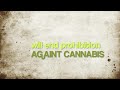 Ron Paul - Our Only Hope in a Corrupt World? You Tell Me -: http://t.co/0eDhdQj0 via @youtube
