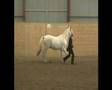 Playing with my horse