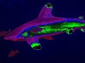 Disco & Martini Fishy rmx