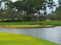 TPC Sawgrass No. 17