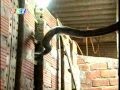 nuoi ran CHĂN NU&Ocirc;I: m&ocirc; h&igrave;nh nu&ocirc;i rắn hồ tr&acirc;u - YouTube