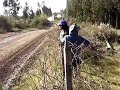 Rally Florida