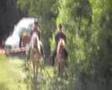 videos de Lits+Lauwers016 Mâlewei15