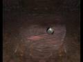 videos de mis pequeñines