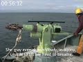 Stop Bloody Whaling - Part 2