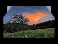 Gipsy King -Tu Quieres Volver