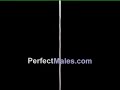 2for1  PerfectMales.com + MisterAthletic.com