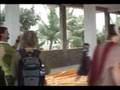 videos de Flower Pelting