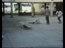 skateboad - bal. piçarras