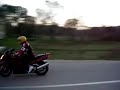ulqin bikers going wild ulqin bikers going wild