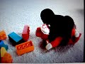 beanie baby homocides part 6