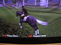 Adelaide 3-star show jumping