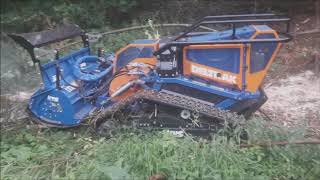 Irus Deltrak mit Forstmulcher
