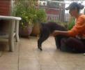 X-TREM TRICKDOGGING: Pino 2