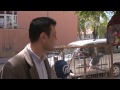 Papağan Kediyi Taklit Ederse...  