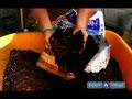 Container Gardening Tips & Plans : Soil Types: Home Container Gardening Tips, Ideas & Advice