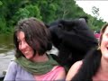 suriname-albina-frans-guyane-st-laurant.html