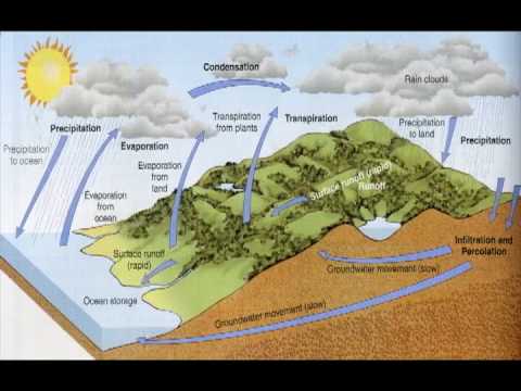 The Water Cycle