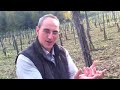 Degustazioni dal basso: Fiano di Avellino - clip #6 Degustazioni dal basso: Fiano di Avellino - clip #6