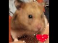 ildüa. :*
