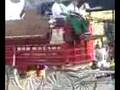 Budweiser Clydesdales at Fountain Walk