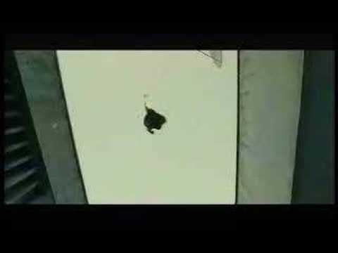 Awesome Action Chase Scene (from District B13)