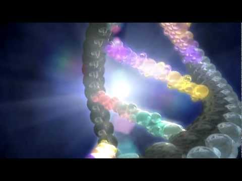 Validators - The Archon Genomics X PRIZE Presented by Express Scripts