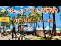 2026年8月 29日/ハワイ最新ニュース4選/ワイキキ観光・黒砂ビーチ・ラハイナ復興・停電問題