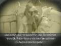 RASPUTIN-was a Russian mystic