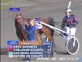 Arch Madness - Trotting Classic