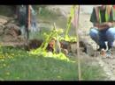 Sewer Replacement - Trenchless Pipebursting Maine
