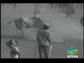 Cronica corralejas en Caucasia