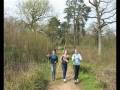 Evolving Landscapes - Malmesbury