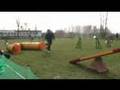 Agility-Turnier in Markee: Jörg Kantel und Zebu