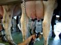 videos de MOV00820.MPG