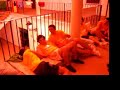 disur 2008 video 2