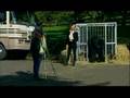Gorilla attack funny