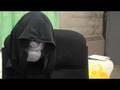 Ask-Palpatine-14-Mak