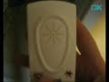Electronic Pest and Mice Repeller (90V~250V AC)