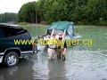 DOUBLE HEADER Skeena River Coho