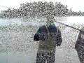DOUBLE HEADER Skeena River Coho