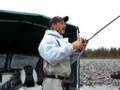 DOUBLE HEADER Skeena River Coho