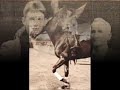 Phar Lap: The Legend